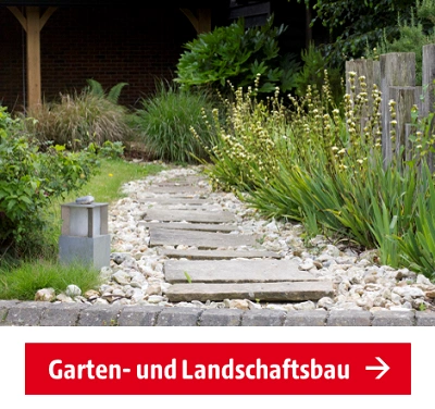 Suchergebnis ohne Erfolg Kategorie Garten