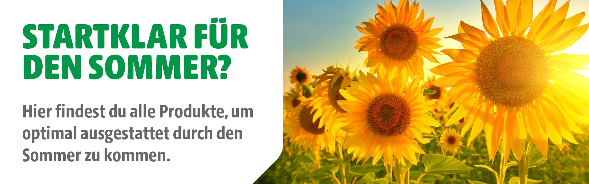 Saisonales Bereit für den Sommer