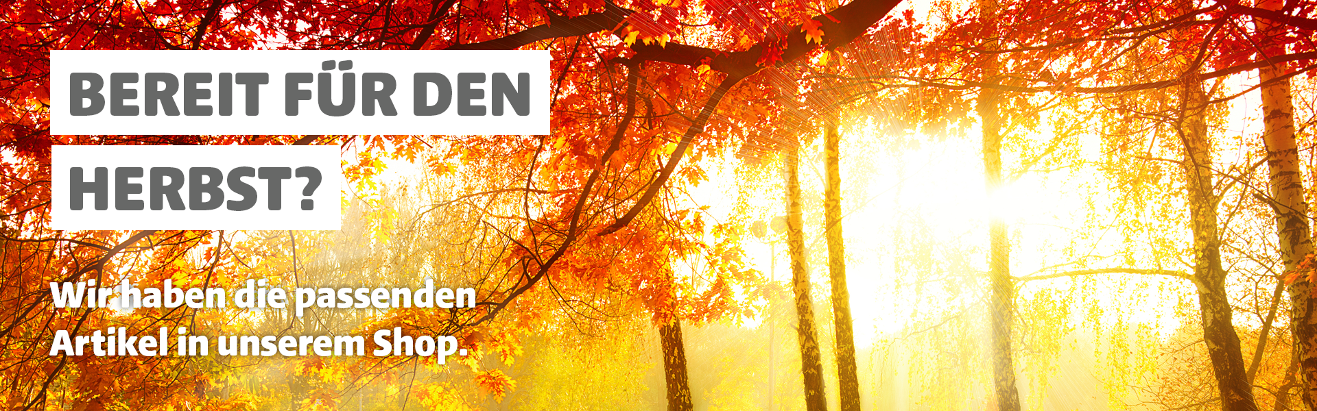 Button Herbst